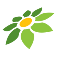 LEMON ML PLAYER